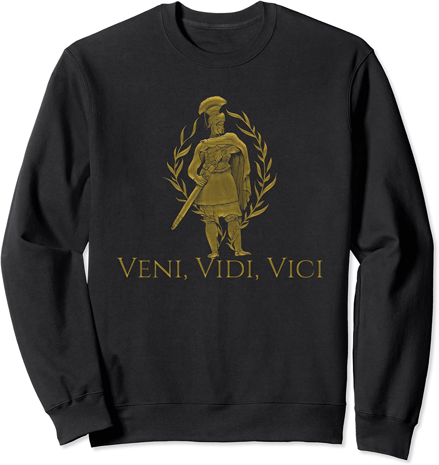 Veni Vidi Vici - Julius Caesar Latin Quote - Ancient Rome Sweatshirt