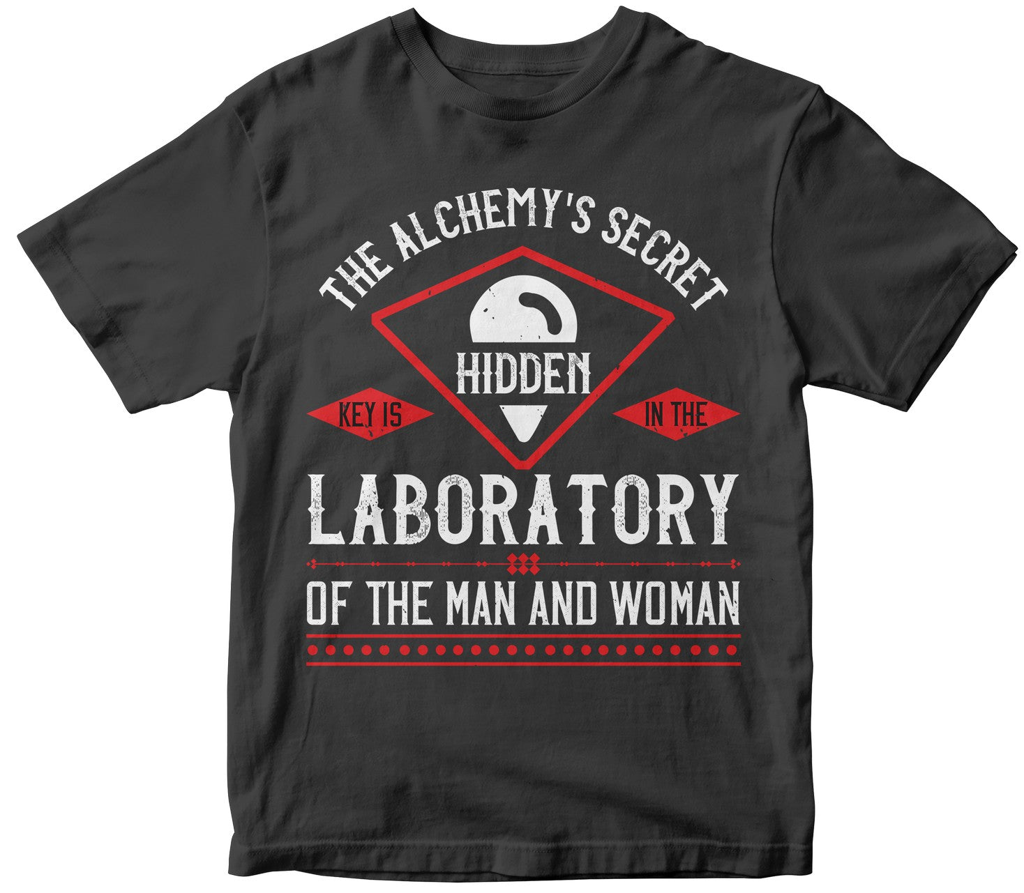 The Alchemy'S Secret Key