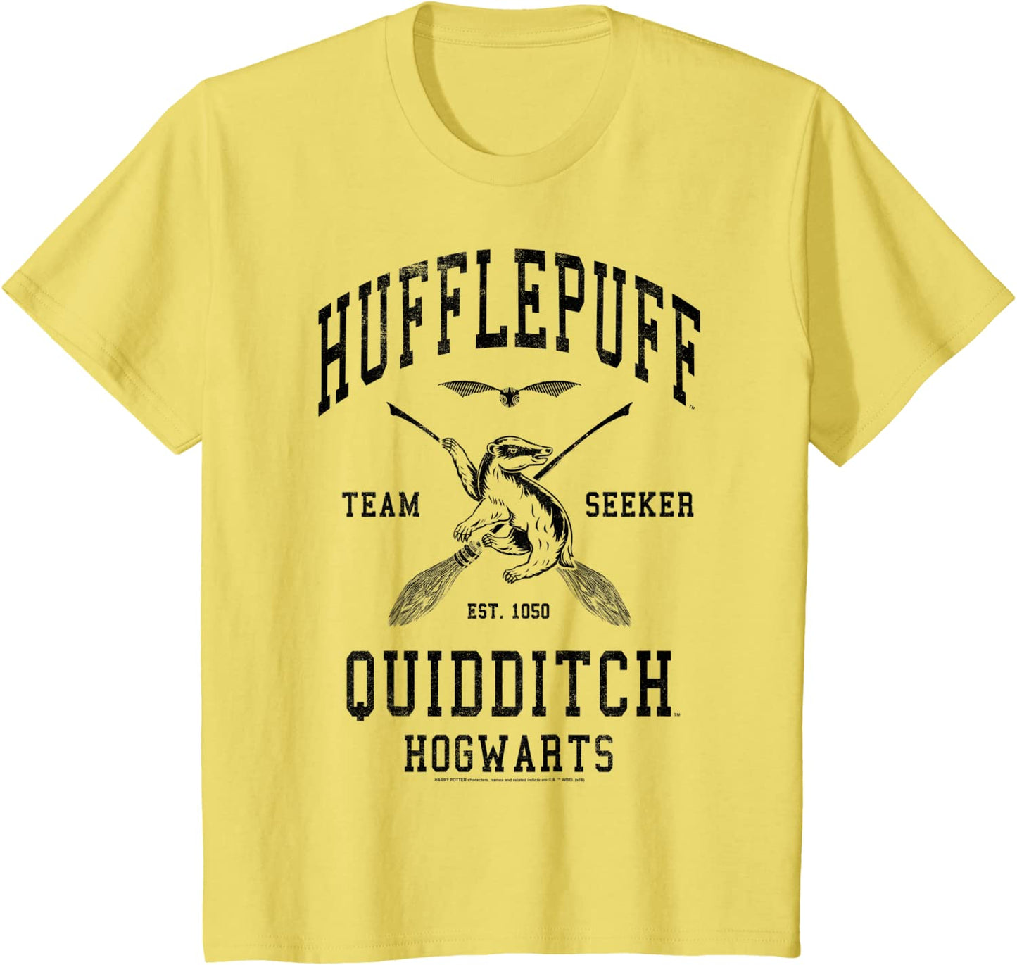 Kids Harry Potter Hufflepuff Bold Team Seeker T-Shirt