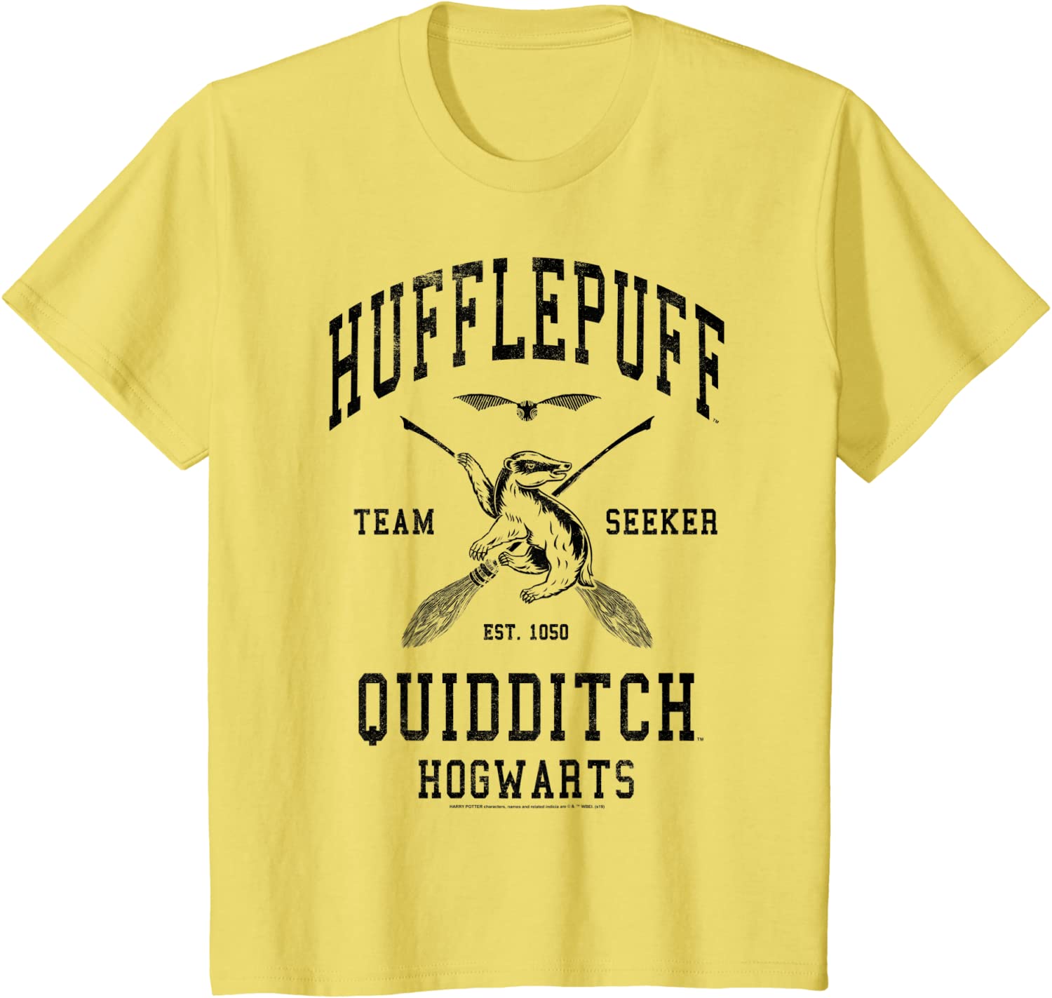 Kids Harry Potter Hufflepuff Bold Team Seeker T-Shirt