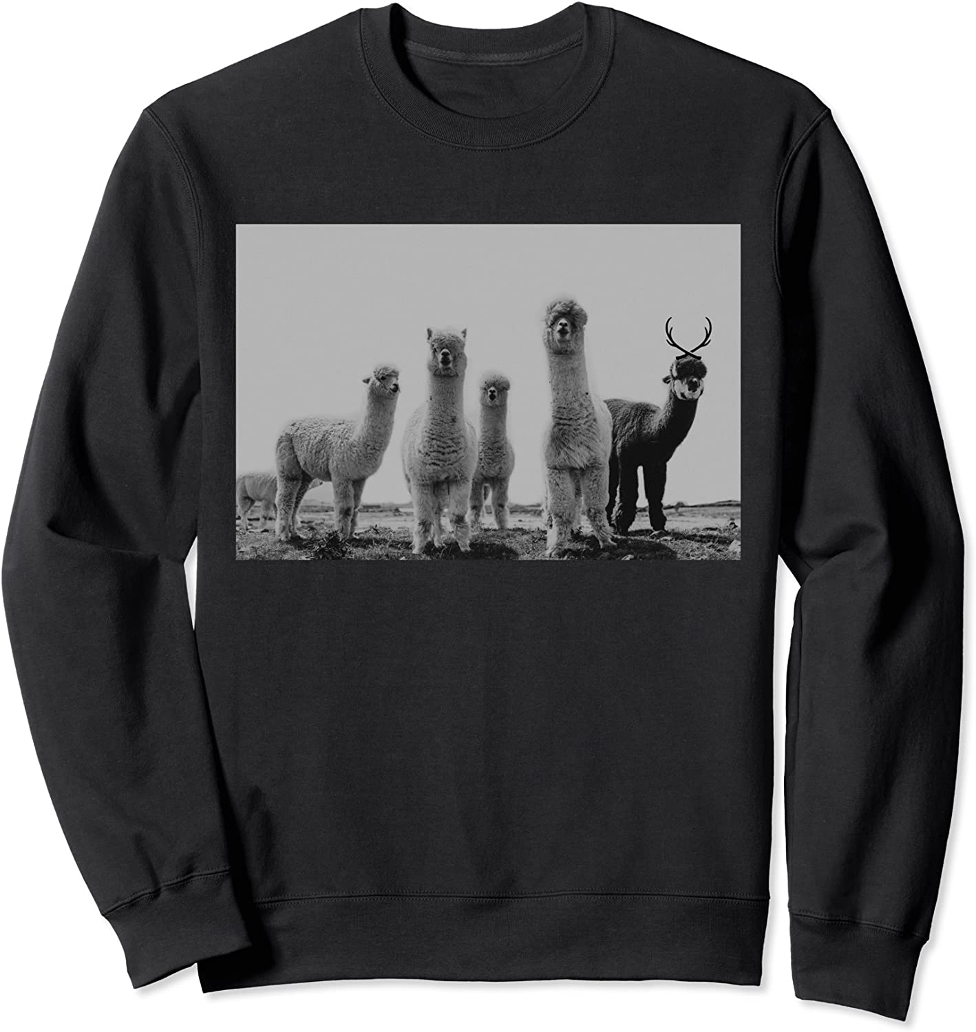 The Original Alpaca Posse Sweatshirt