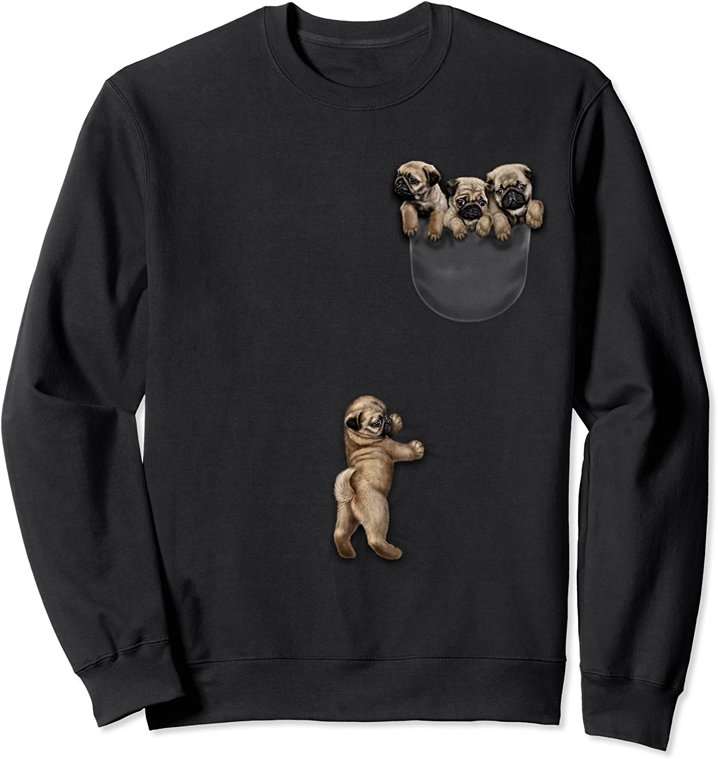 Cute Mini Pug Puppies Dog in Pocket Sweatshirt