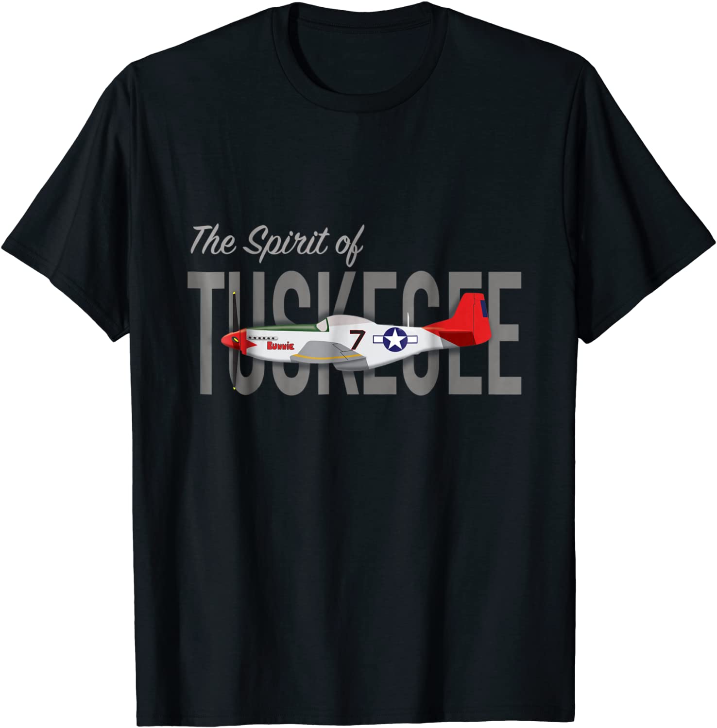 The Spirit of Tuskegee P-51 Mustang