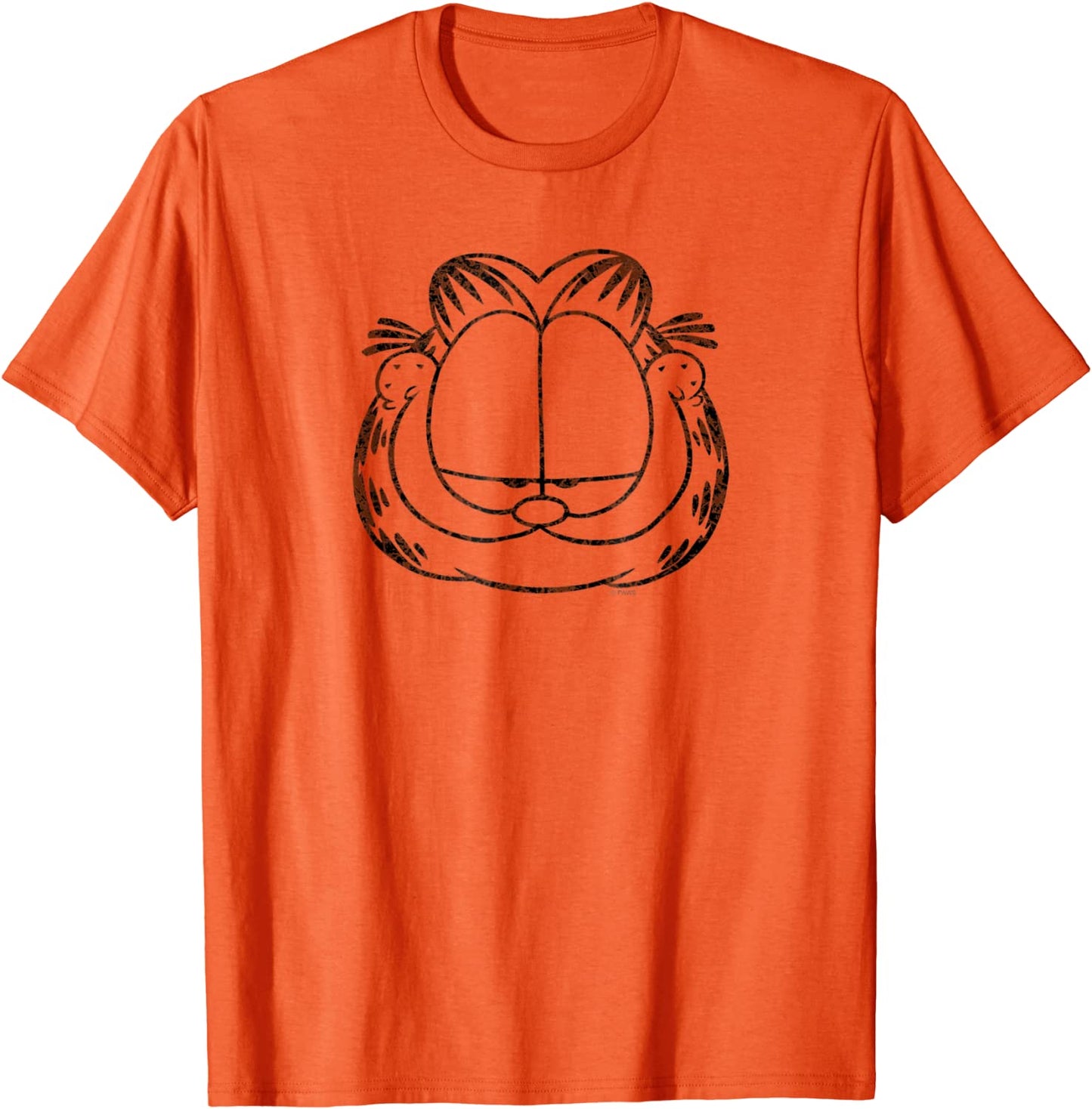 Garfield Smirking Distressed T Shirt