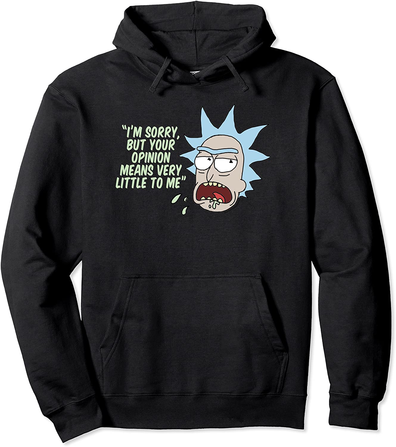 Rick and Morty Your Opinion means Very Little Pullover Hoodie