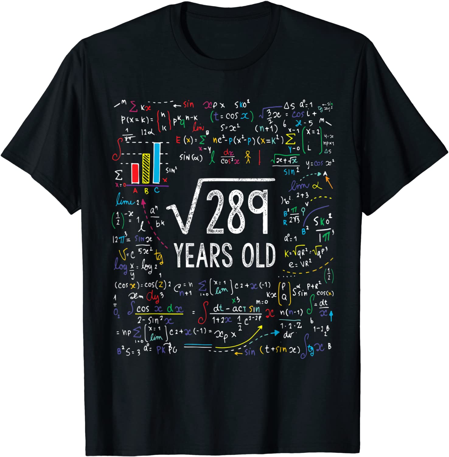 Square Root Of 289 17th Birthday 17 Year Old Gifts Math Bday T-Shirt