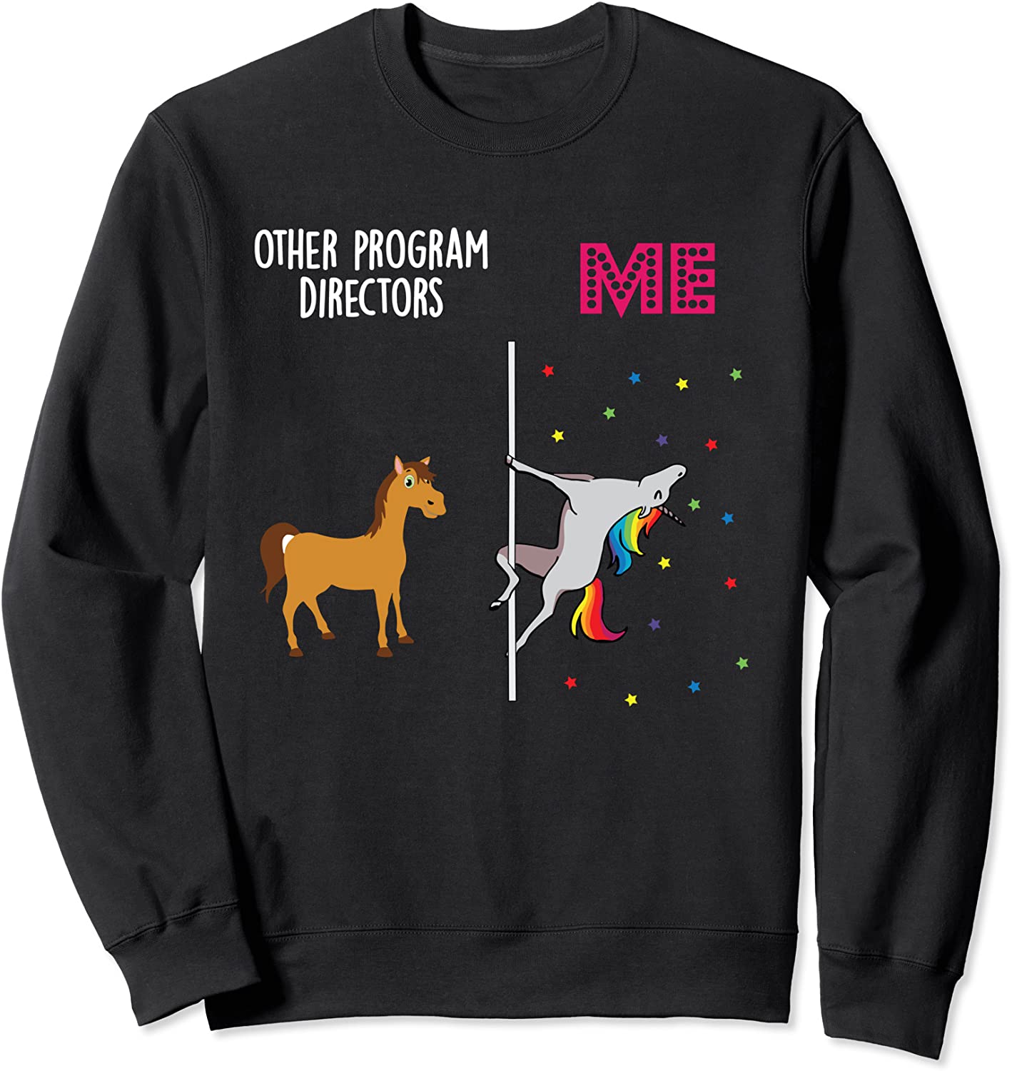 Program Director Unicorn Others You Sweatshirt
