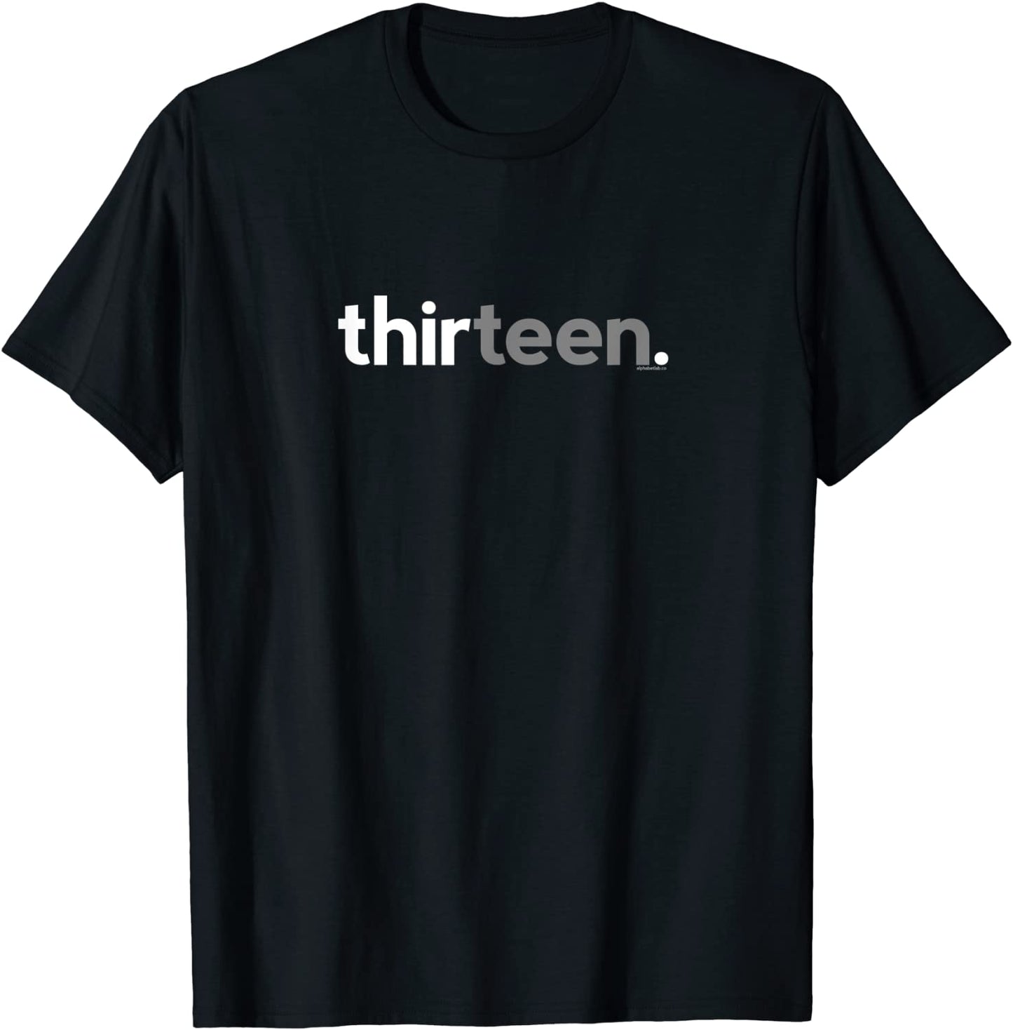 13th Birthday Gifts for Teen Boys 13 Thirteen 13 Year Old T-Shirt