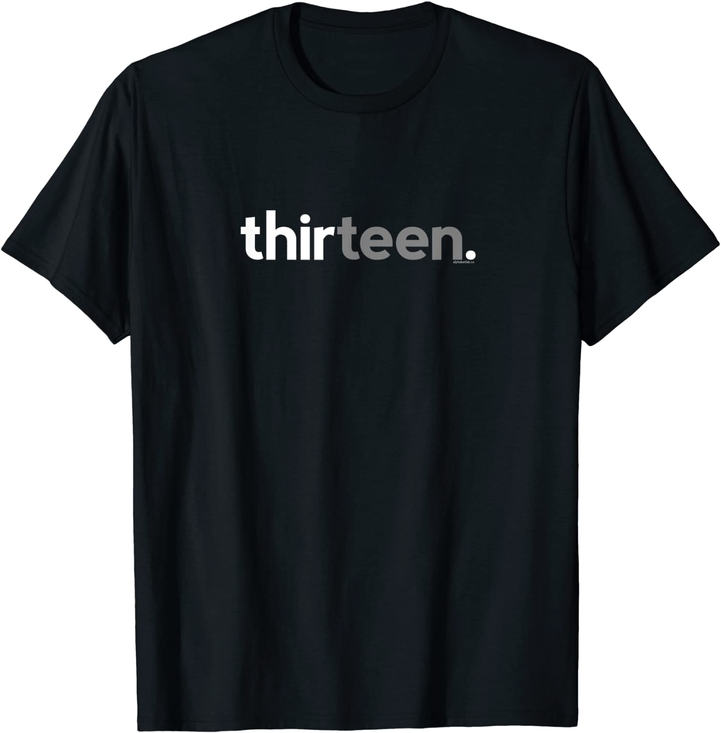 13th Birthday Gifts for Teen Boys 13 Thirteen 13 Year Old T-Shirt