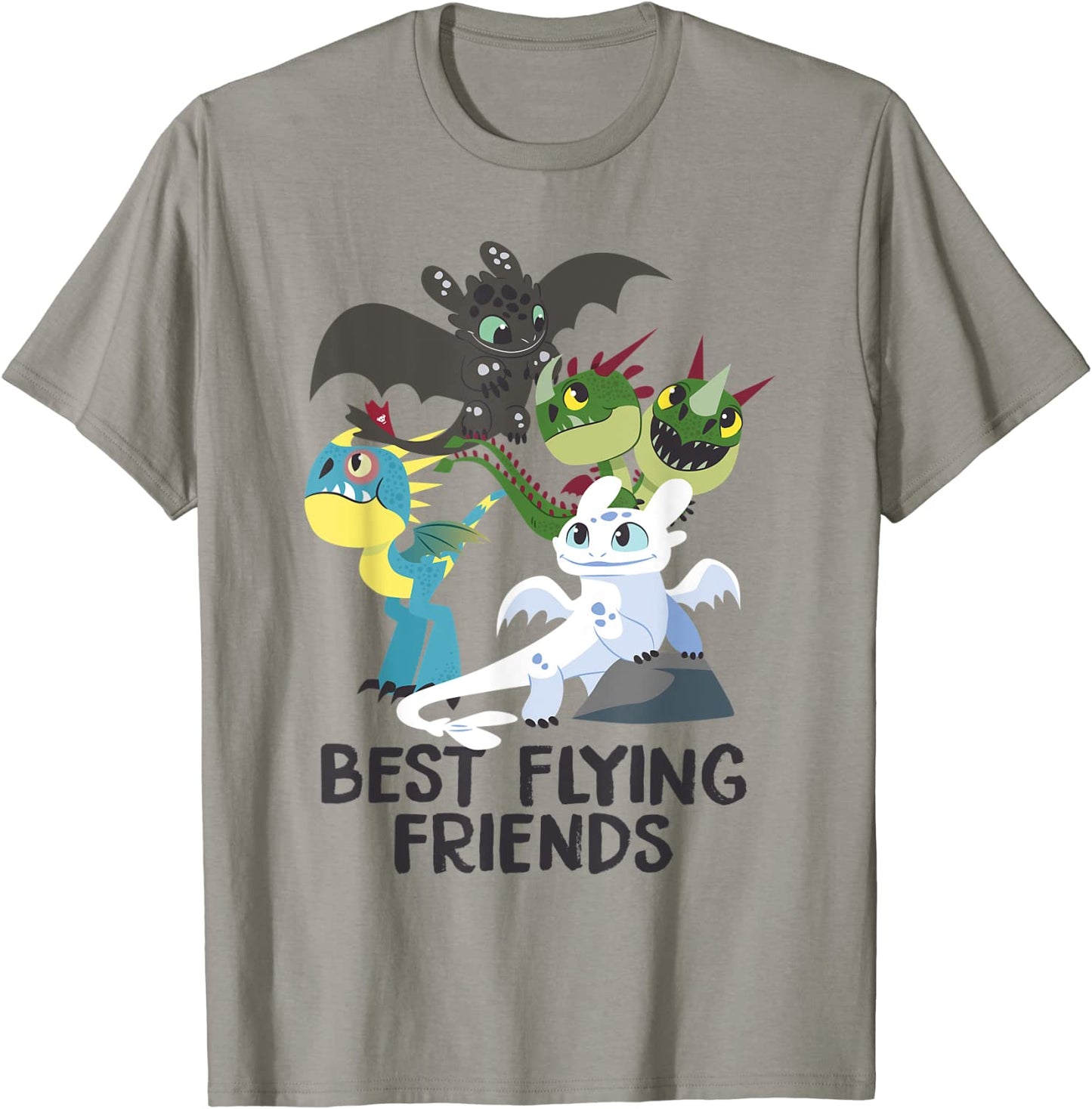 How to Train Your Dragon 3 Hidden World Best Friends T-shirt