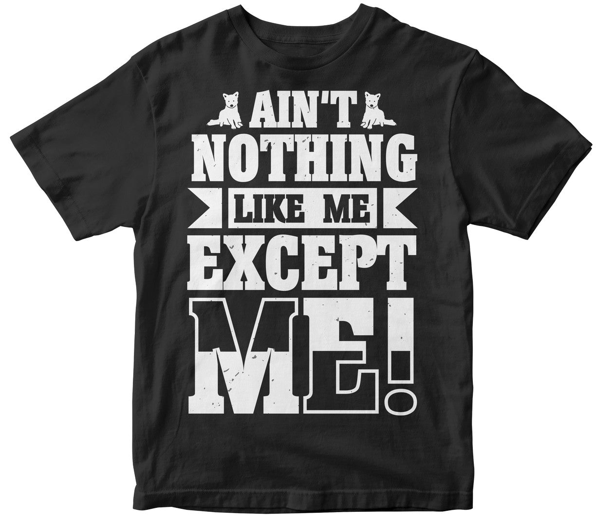 Aint Nothing Like Me Except Me!