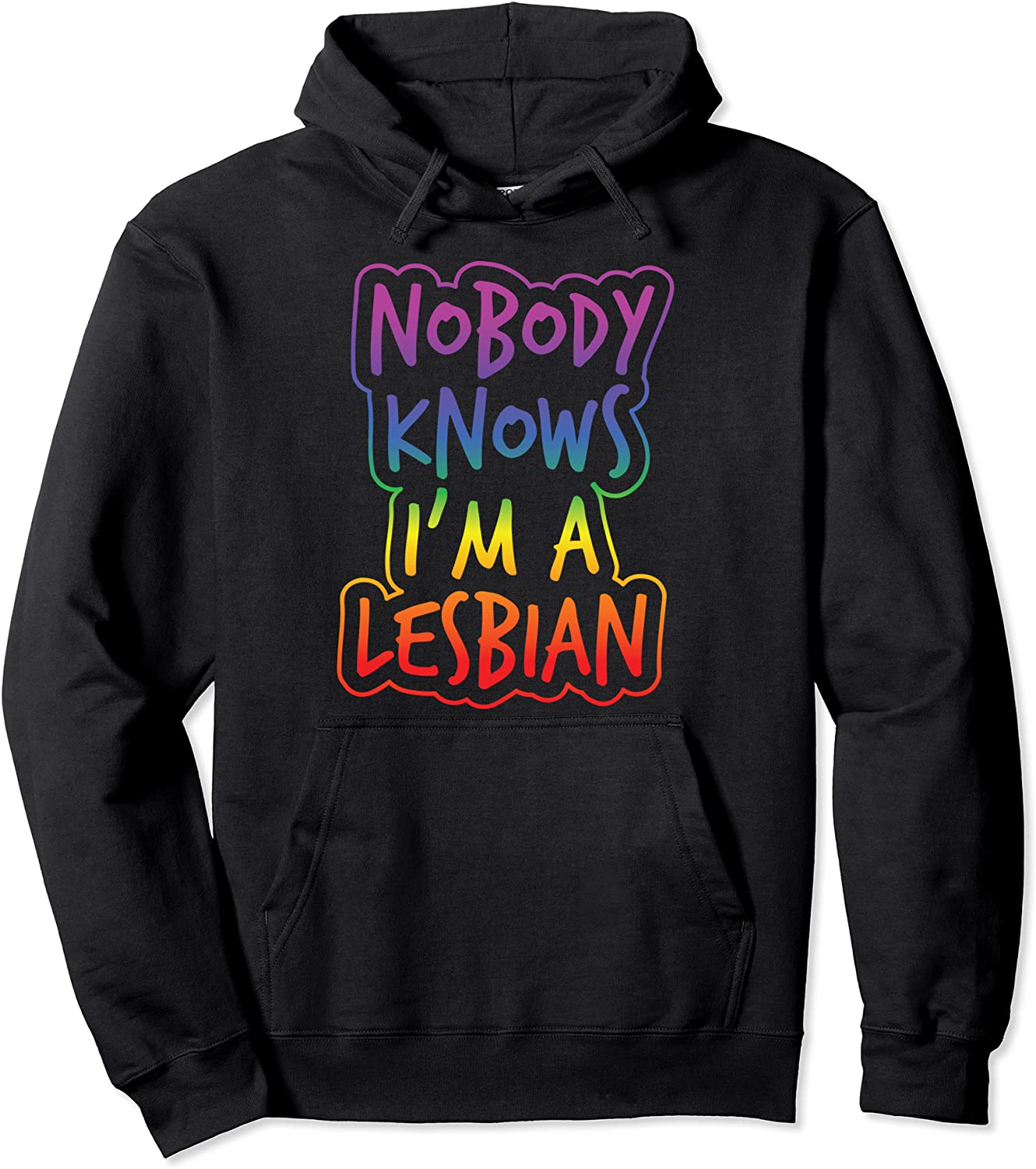 Nobody Knows Im A Lesbian Gay Lesbian Pride Pullover Hoodie