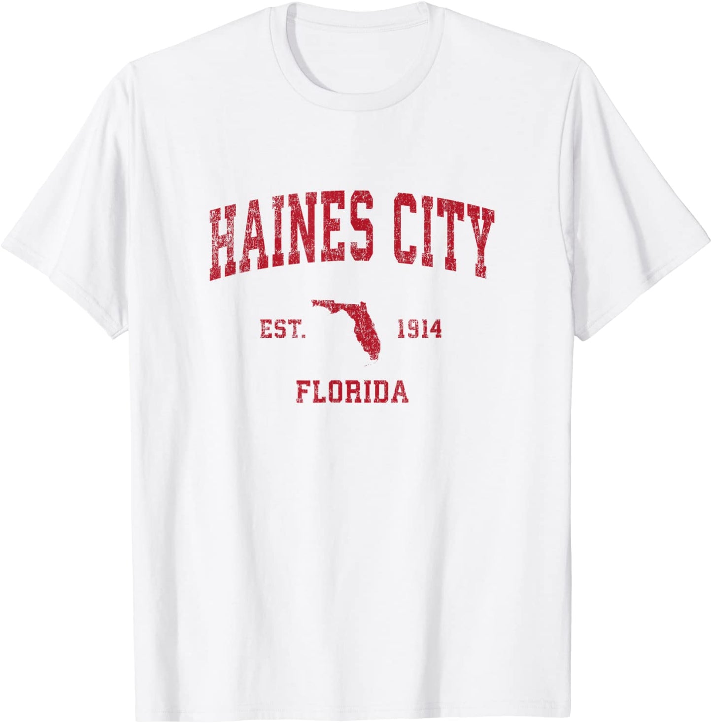 Haines City Florida FL Vintage Sports Design Red Print T-Shirt