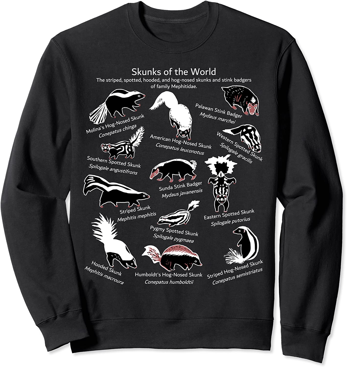 Skunks of the World Species of Mephitidae Sweatshirt