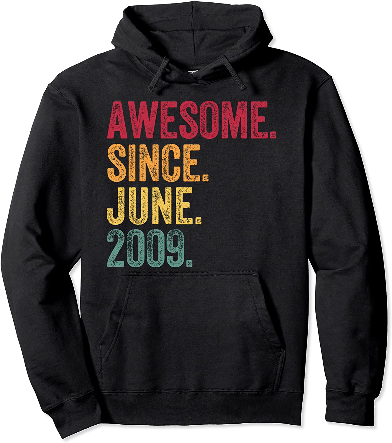 Awesome Since June 2009 12th Birthday 12 Years Old Vintage Pullover Hoodie