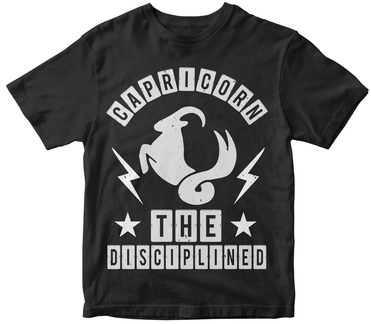 Capricorn The Disciplined