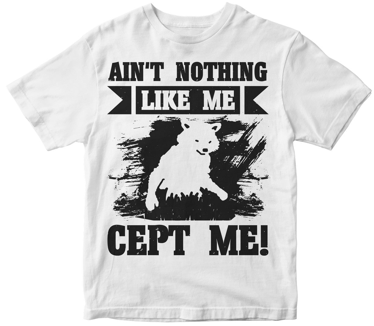 Aint Nothing Like Me Cept Me!