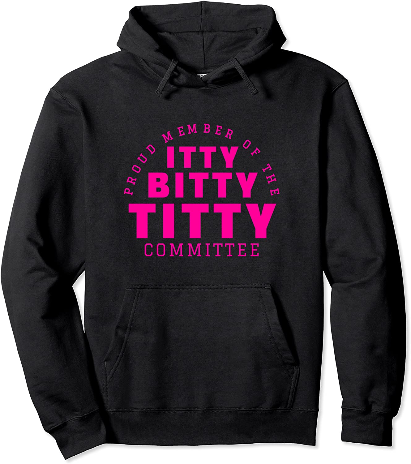 Itty Bitty Titty Committee Shirt Funny Womens Flat Boob Joke Pullover Hoodie